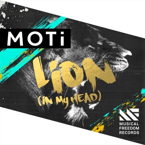 Lion Lion